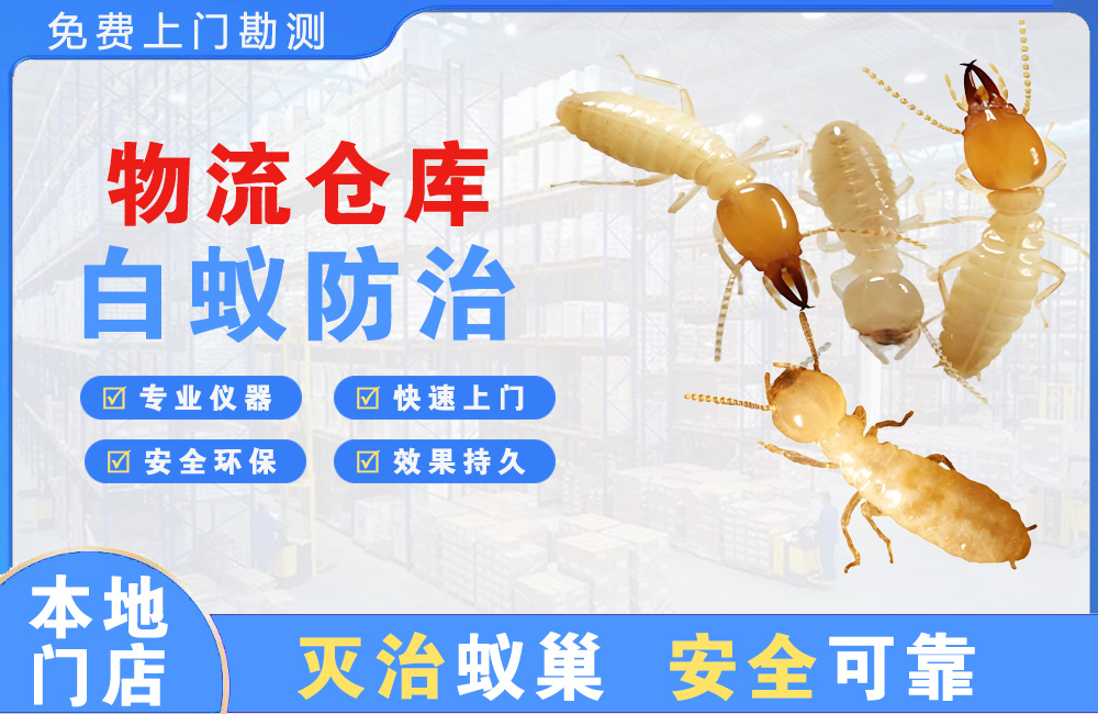 绵竹物流仓库白蚁防治