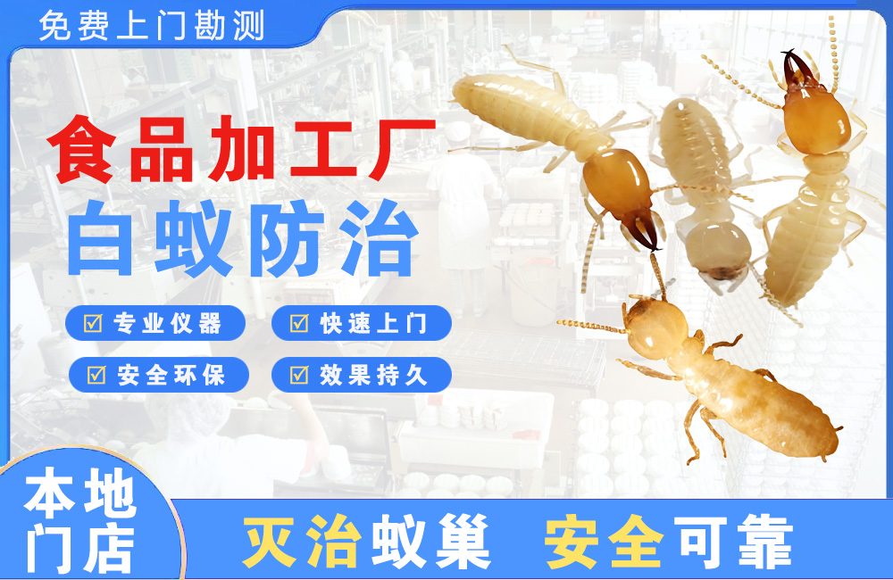 绵竹食品加工厂白蚁防治